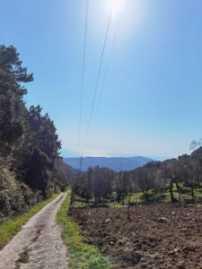 Trekking-Escursione-Acquavella-Cilento